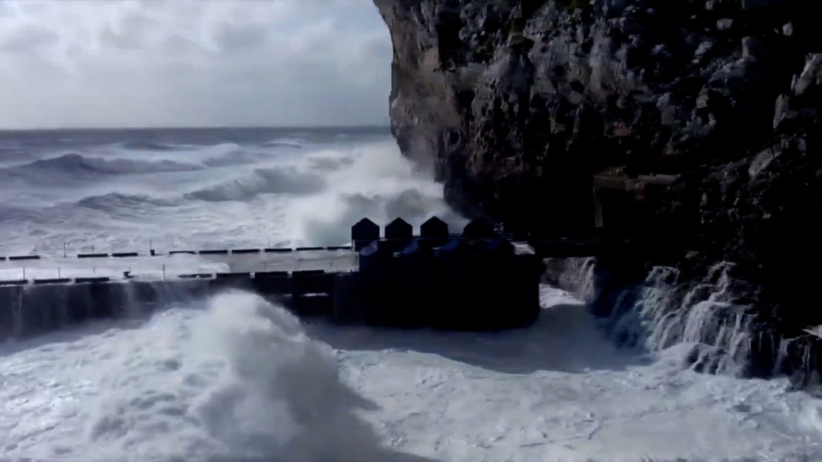 These devices convert ocean waves into renewable energy